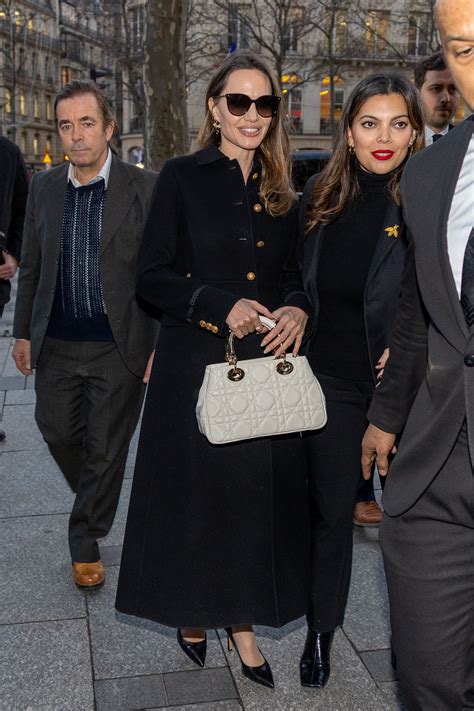 angelina jolie Princess Diana bag